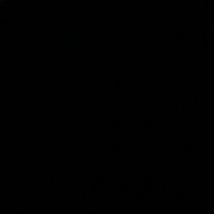 Meet your Posher, Daniela